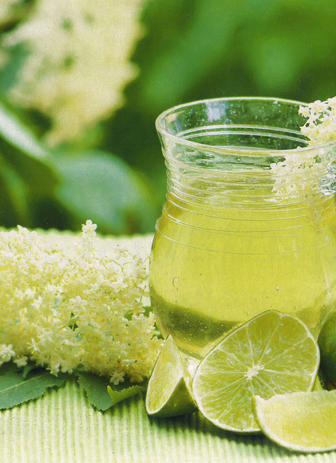 Sirop de fleurs de sureau & limonade